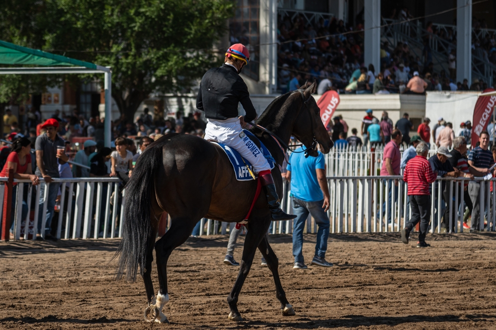 Argentina’s ‘influential’ Gran Premio Nacional gains SIS sponsorship