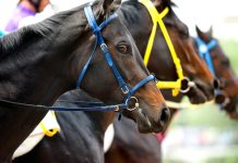 PA Betting Services adds horse racing to CopyBet sportsbook roster