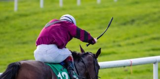BHA reduces number of times a whip can be used in new set of rules