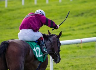 BHA reduces number of times a whip can be used in new set of rules