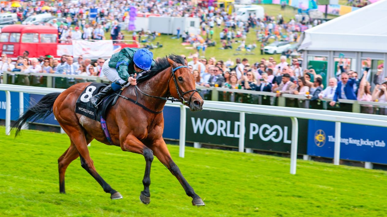 World Pool targets ‘global appeal’ for horseracing with fixture additions