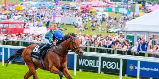 World Pool targets ‘global appeal’ for horse racing with fixture additions World Pool targets ‘global appeal’ for horseracing with fixture additions