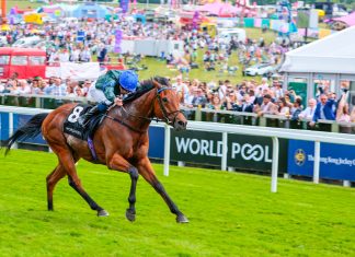 World Pool targets ‘global appeal’ for horse racing with fixture additions World Pool targets ‘global appeal’ for horseracing with fixture additions