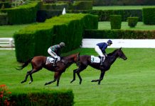 Italian flat races to bolster SIS’ international offering