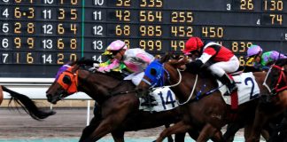 Saudi Cup added to HKJC World Pool schedule in enhanced SIS deal