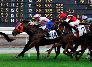 Saudi Cup added to HKJC World Pool schedule in enhanced SIS deal