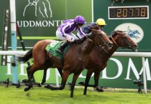 York Racecourse looks to up tech game for Dante fixture York Racecourse looks to up tech game for Dante fixture