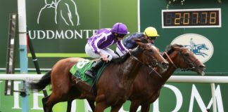 York Racecourse looks to up tech game for Dante fixture York Racecourse looks to up tech game for Dante fixture