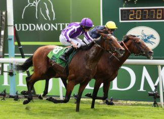 York Racecourse looks to up tech game for Dante fixture York Racecourse looks to up tech game for Dante fixture