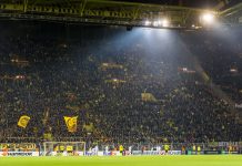 50+1 rule to be examined by DFL due to concerns over stability