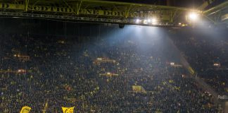 50+1 rule to be examined by DFL due to concerns over stability