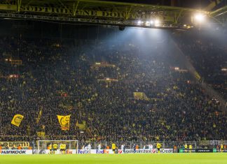 50+1 rule to be examined by DFL due to concerns over stability