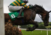Newbury reports increased profits amid ongoing industry challenges Horse jumping a fence.