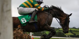 Newbury reports increased profits amid ongoing industry challenges Horse jumping a fence.