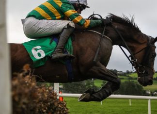 Newbury reports increased profits amid ongoing industry challenges Horse jumping a fence.