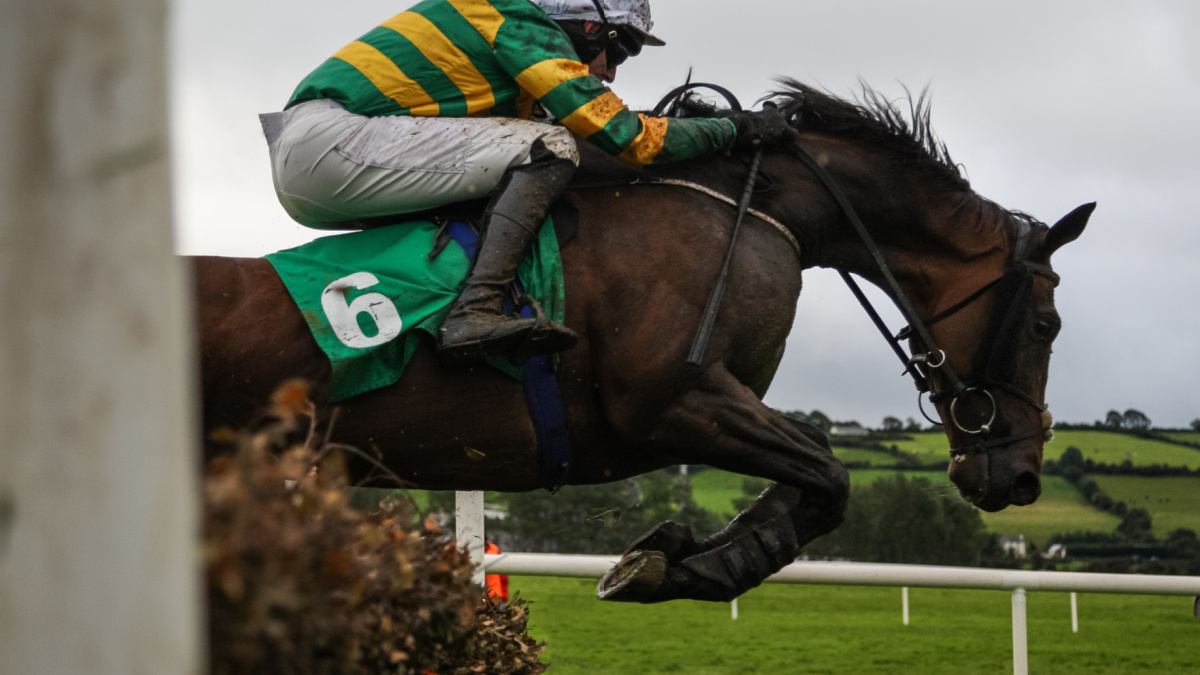 Horse jumping a fence.