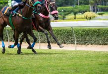 BHA ‘won’t be coerced’ by Animal Rising activist group Huge media coverage secured for French racing’s flagship fixture