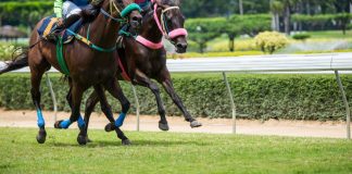 Betfred initiates ‘substantial investment’ into British horse racing with Epsom Downs sponsorship Huge media coverage secured for French racing’s flagship fixture