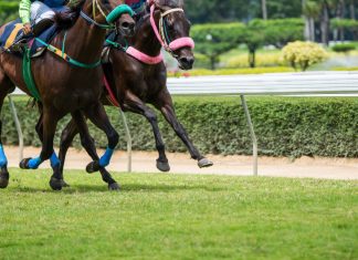 Former jockey and ITV Racing pundit joins forces with BetMGM Huge media coverage secured for French racing’s flagship fixture