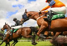 BHA confirms members of Judicial Panel