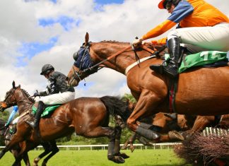 Novibet set to make Fairyhouse sponsorship debut