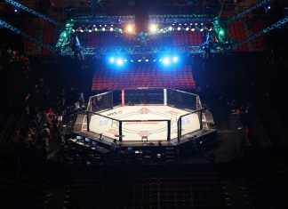 UFC featherweight contender Ilia Topuria links with Alphabook