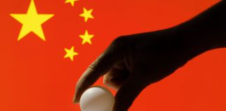 WTT maintains China support for future international events