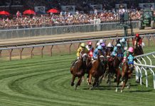 HBA enhances racing portfolio with three new partnerships