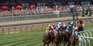HBA enhances racing portfolio with three new partnerships