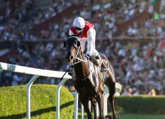 Racing TV and Sky Business deal provides “great opportunity” for hospitality horse racing