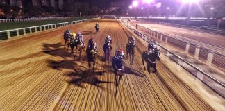 PA Betting Services deepens racing portfolio with iRace Media acquisition