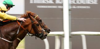British horse racing turns to startups for fresh ideas Horse racing.