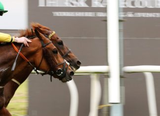 British horse racing turns to startups for fresh ideas Horse racing.