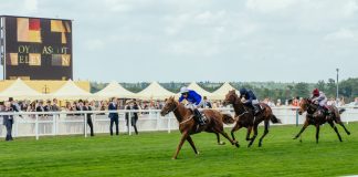 UK racing launches petition to voice concerns over new affordability checks