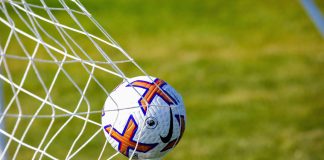Premier League clubs to vote on ban of loaning players under same ownership Credit: Shutterstock