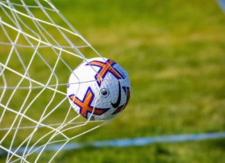 Premier League clubs to vote on ban of loaning players under same ownership Credit: Shutterstock