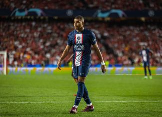 PSG gains Arctos as a new minority owner credit: Shutterstock