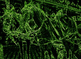 Racecourse Media Group taps Ellipse for AI data feeds to “demystify” horse racing