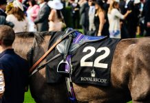 BetMGM unveiled as new title sponsor for Ascot raceday Horse being led out at Ascot