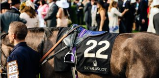 BetMGM unveiled as new title sponsor for Ascot raceday Horse being led out at Ascot