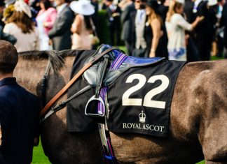 BetMGM unveiled as new title sponsor for Ascot raceday Horse being led out at Ascot