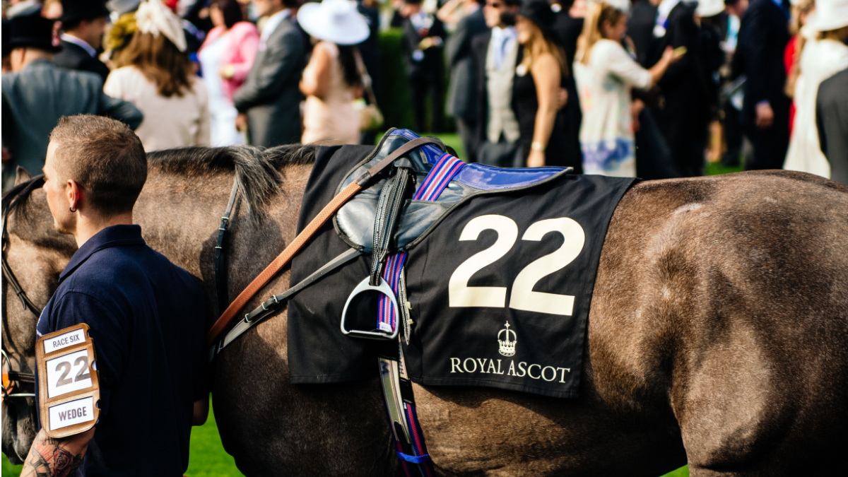 Horse being led out at Ascot