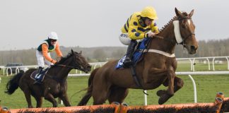 OLBG unveiled as new partner of Newbury Racecourse Owners’ Club Horses jumping a hurdle at Newbury Racecourse