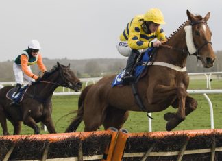 OLBG unveiled as new partner of Newbury Racecourse Owners’ Club Horses jumping a hurdle at Newbury Racecourse