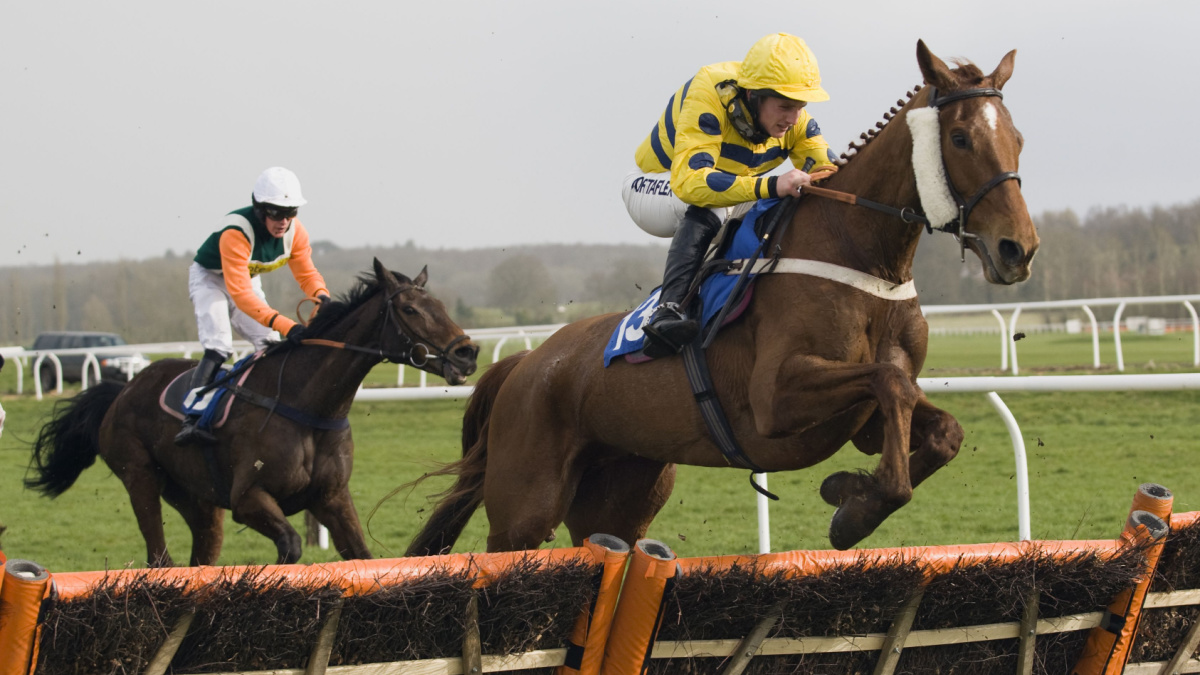 Horses jumping a hurdle at Newbury Racecourse