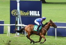 William Hill increases exposure in Irish racing with four new ambassadors Horse racing in front of William Hill advertisement.