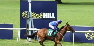 William Hill adds Qipco Guineas Festival to racing roster Horse racing in front of William Hill advertisement.