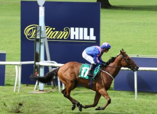 William Hill adds Qipco Guineas Festival to racing roster Horse racing in front of William Hill advertisement.