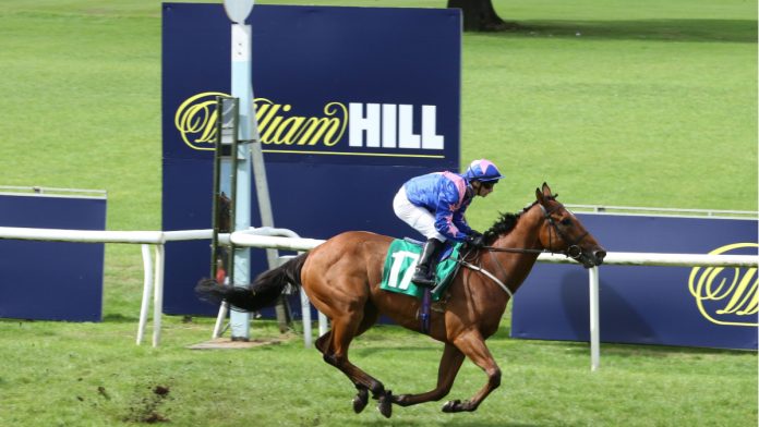 Horse racing in front of William Hill advertisement.