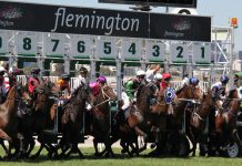 Nine takes Melbourne Cup Carnival free-to-air in deal with VRC and Tabcorp Nine takes Melbourne Cup Carnival free-to-air in deal with VRC and Tabcorp